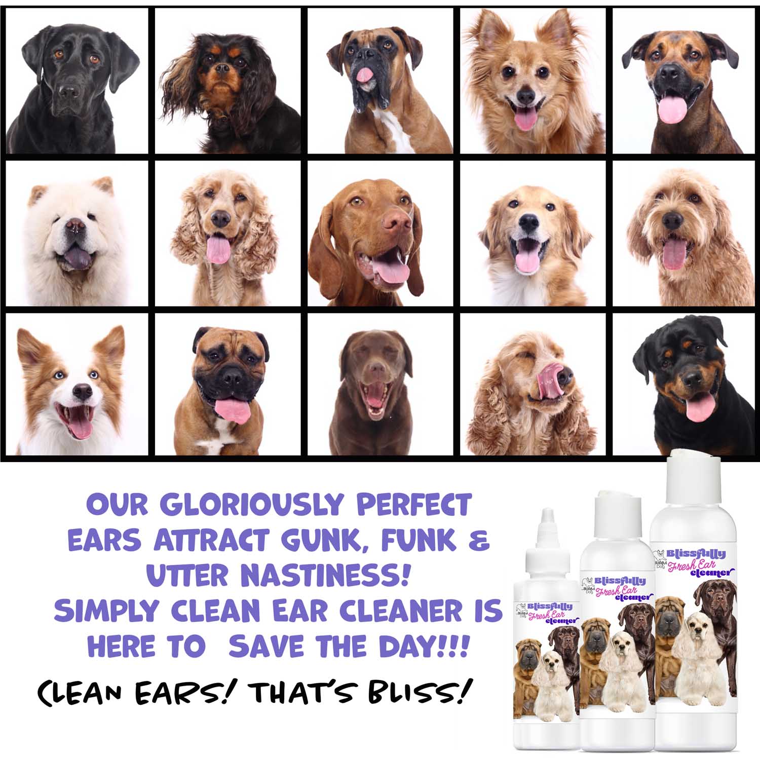 dogs prone to ear infections